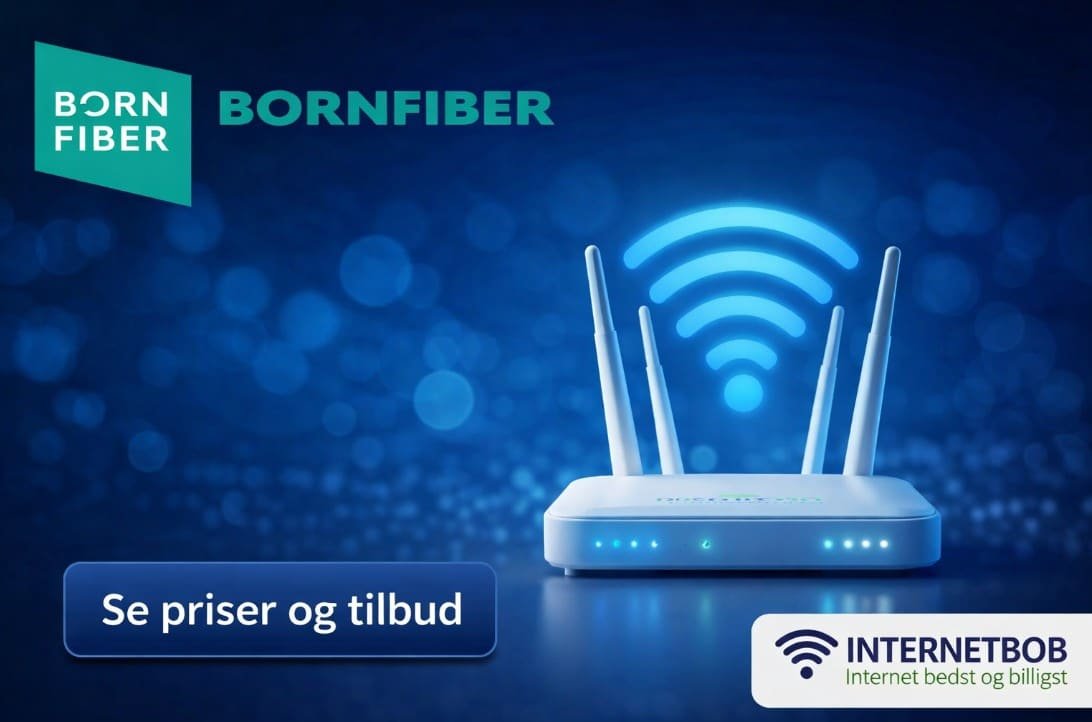Bornfiber internet